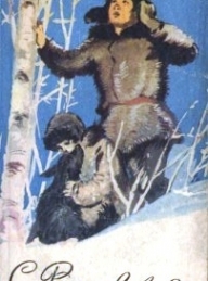 Обложка книги Болотные робинзоны - Софья Борисовна Радзиевская