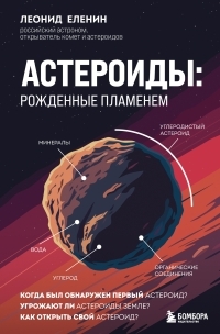 Обложка книги Астероиды. Рожденные пламенем - Леонид Владимирович Еленин