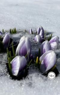 Обложка книги Русский романс - Наталья Гончарова