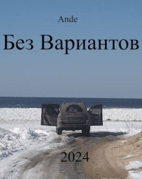 Обложка книги Без Вариантов - Ande