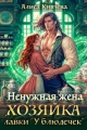 Обложка книги Ненужная жена. Хозяйка лавки "У блюдечек" - Алиса Князева