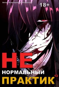Обложка книги Ненормальный практик 12. Финал - Отшельник Извращённый