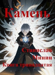 Обложка книги Камень. Книга 13 - Станислав Николаевич Минин