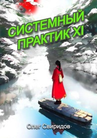 Обложка книги Системный практик XI - Олег Свиридов