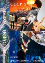 Обложка книги Сюита среднесовкового периода - Анатолий Бурак