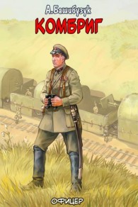 Обложка книги Комбриг - Александр Вячеславович Башибузук