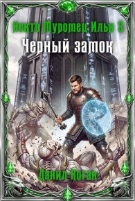 Обложка книги Черный замок - Данил Коган