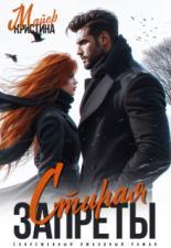 Обложка книги Стирая запреты - Кристина Майер