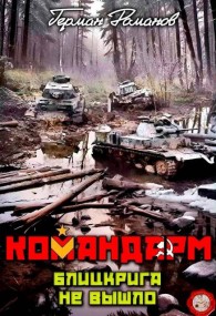Обложка книги Блицкрига не вышло - Герман Иванович Романов