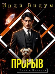 Обложка книги Прорыв - Инди Видум