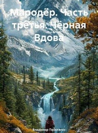 Обложка книги Черная Вдова - Владимир Геннадьевич Поселягин