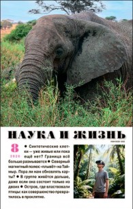 Обложка книги Наука и жизнь, 2026 № 08 (pdf) - Журнал «Наука и жизнь»