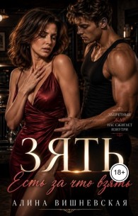 Обложка книги Зять. Есть за что взять - Алина Вишневская