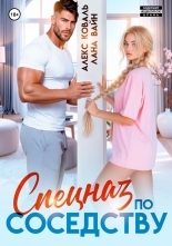 Обложка книги Спецназ по соседству - Лана Вайн