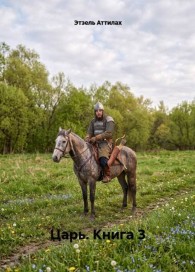 Обложка книги Царь. Книга 3 - Этзель Аттилах
