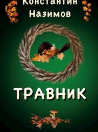 Обложка книги Травник - Константин Геннадьевич Борисов-Назимов