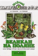Обложка книги Великан на поляне или первые уроки экологической этики - Плешаков Андрей, Румянцев Александр