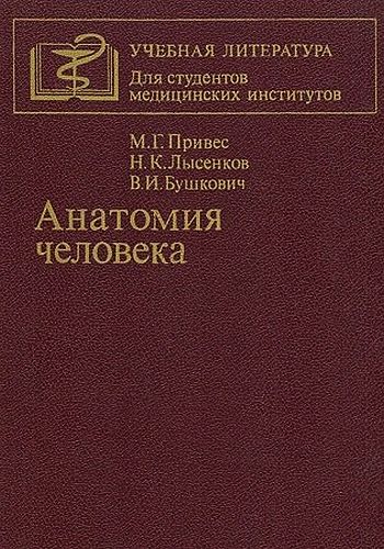 Обложка книги Анатомия человека - Михаил Григорьевич Привес