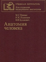 Обложка книги Анатомия человека - Михаил Григорьевич Привес
