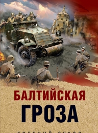 Обложка книги Балтийская гроза - Евгений Евгеньевич Сухов